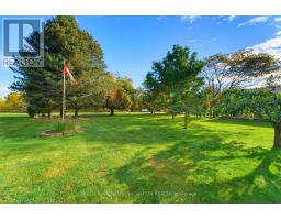 161 James Street, North Perth, ON N0G1B0 Photo 13