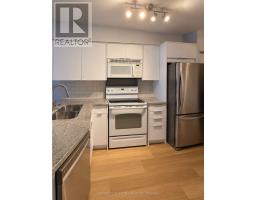 201 - 1005 King Street W, Toronto, ON M6K3M8 Photo 6