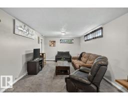 3829 110 Av Nw, Edmonton, AB T5W0H8 Photo 21