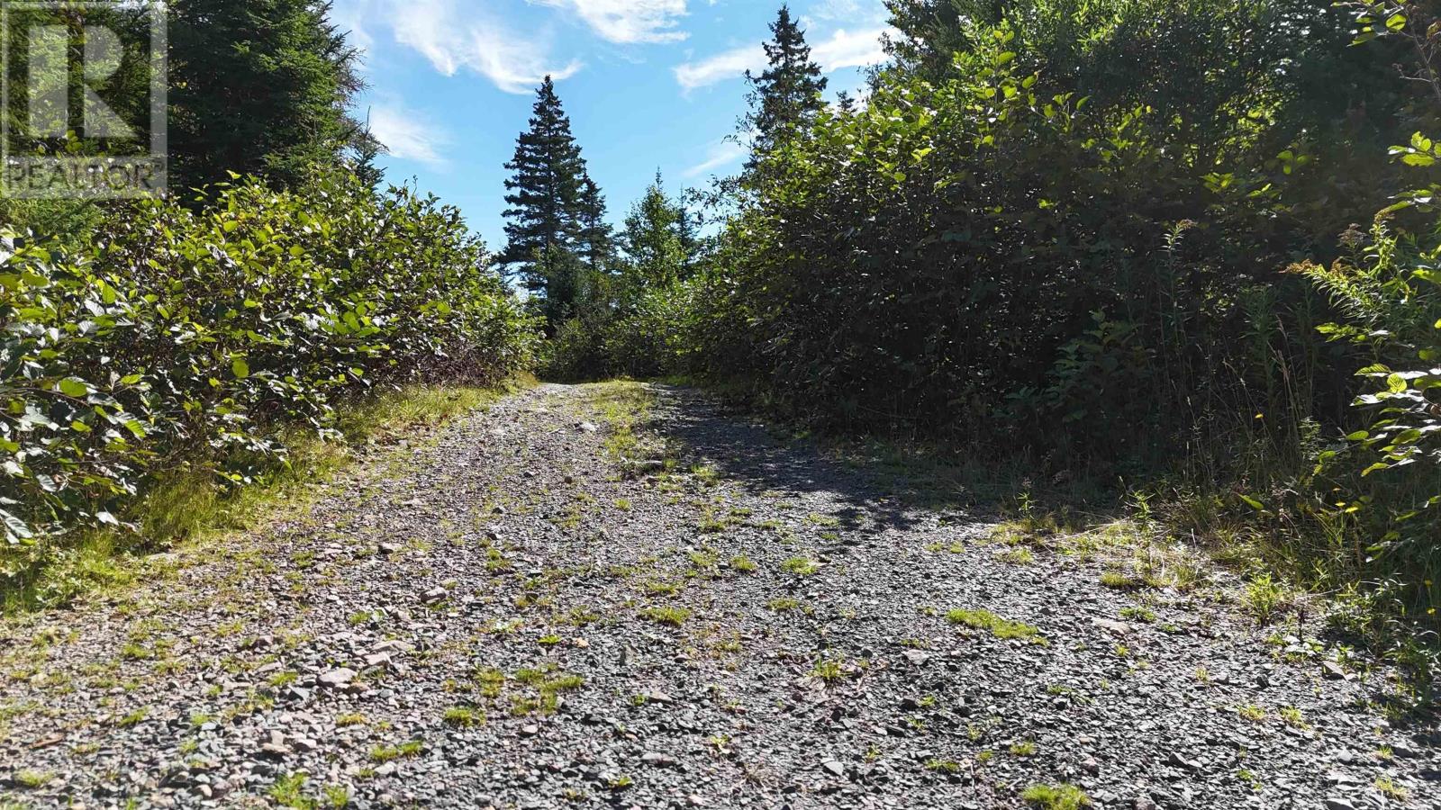 Property 7 of 13 of 226 acre Mackenzie Lake Rd