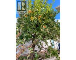 12165 21 Avenue, Blairmore, AB T0K0E0 Photo 22