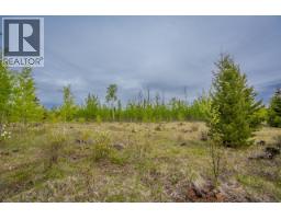 25 Cariboo 97 Highway, 100 Mile House, BC V0K2E1 Photo 19