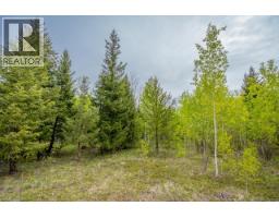 25 Cariboo 97 Highway, 100 Mile House, BC V0K2E1 Photo 18
