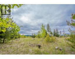 25 Cariboo 97 Highway, 100 Mile House, BC V0K2E1 Photo 21
