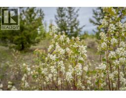 25 Cariboo 97 Highway, 100 Mile House, BC V0K2E1 Photo 20