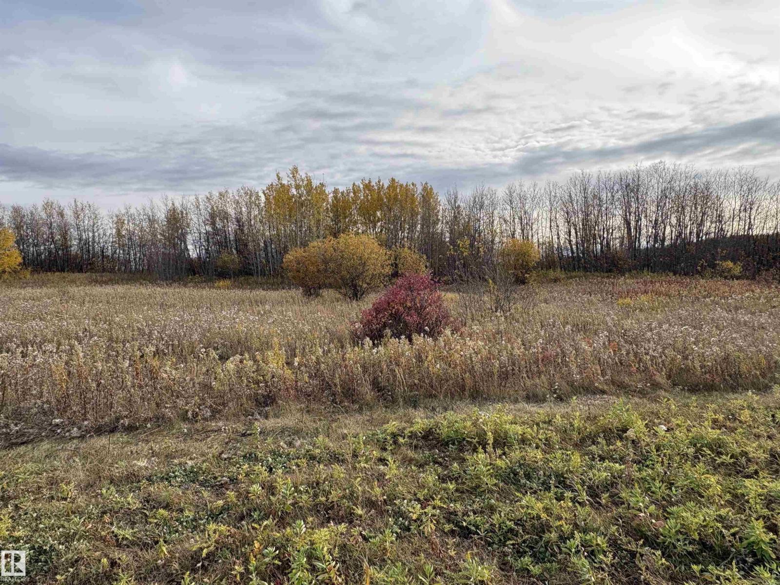 43 50106 Rge Rd 200 - Image 25