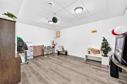 378 Mandalay Drive, Winnipeg, MB R2P1K3 Photo 24