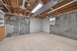 284 Rita Street, Winnipeg, MB R3J2Y2 Photo 40