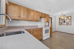 Recreation room - 284 Rita Street, Winnipeg, MB R3J2Y2 Photo 9