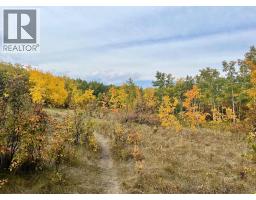 270 Cougar Ridge Drive SW - photo 50