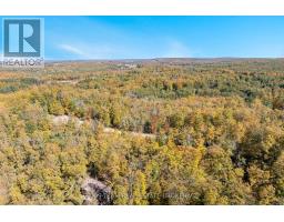 29 Oneida Avenue, Oro Medonte, ON L0K1E0 Photo 27