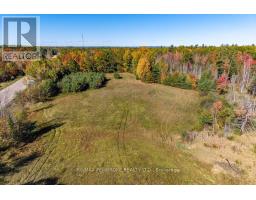 37800 41 Highway, North Algona Wilberforce, ON K8A6W4 Photo 21