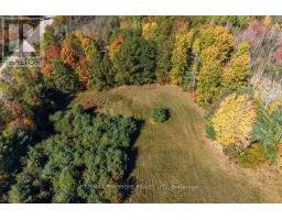37800 41 Highway, North Algona Wilberforce, ON K8A6W4 Photo 22