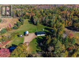 37800 41 Highway, North Algona Wilberforce, ON K8A6W4 Photo 43