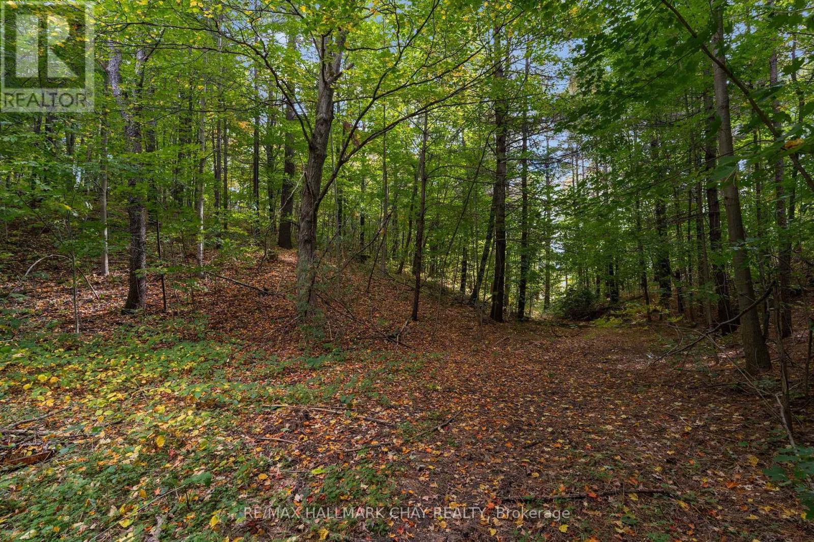 1855 Sunnidale Road, Springwater, ON photo 36