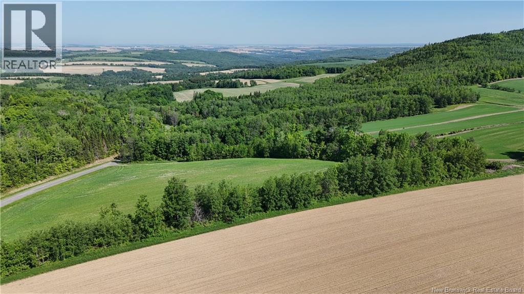233 Hilldale Road - 35