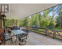 177 Hedge Road, Georgina, ON L0E1R0 Photo 35