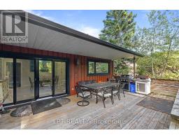 177 Hedge Road, Georgina, ON L0E1R0 Photo 36