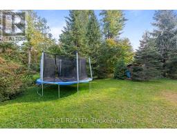 177 Hedge Road, Georgina, ON L0E1R0 Photo 38