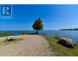 177 Hedge Road, Georgina, ON L0E1R0 Photo 42