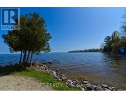 177 Hedge Road, Georgina, ON L0E1R0 Photo 43