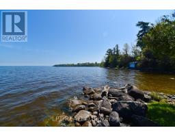 177 Hedge Road, Georgina, ON L0E1R0 Photo 45