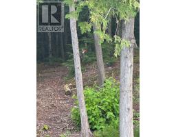 1280b Austris Road, Frontenac, ON K0H1C0 Photo 29