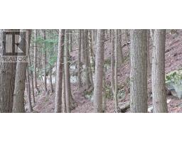 1280b Austris Road, Frontenac, ON K0H1C0 Photo 32