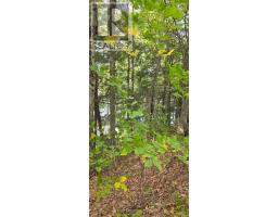 1280b Austris Road, Frontenac, ON K0H1C0 Photo 34
