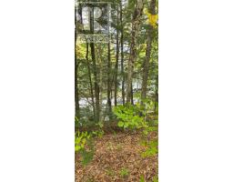 1280b Austris Road, Frontenac, ON K0H1C0 Photo 35