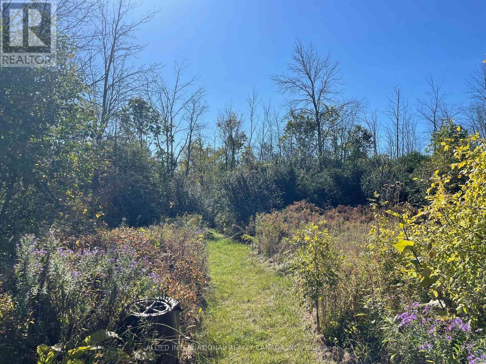 537 Burr Road, Prince Edward County, ON photo 36