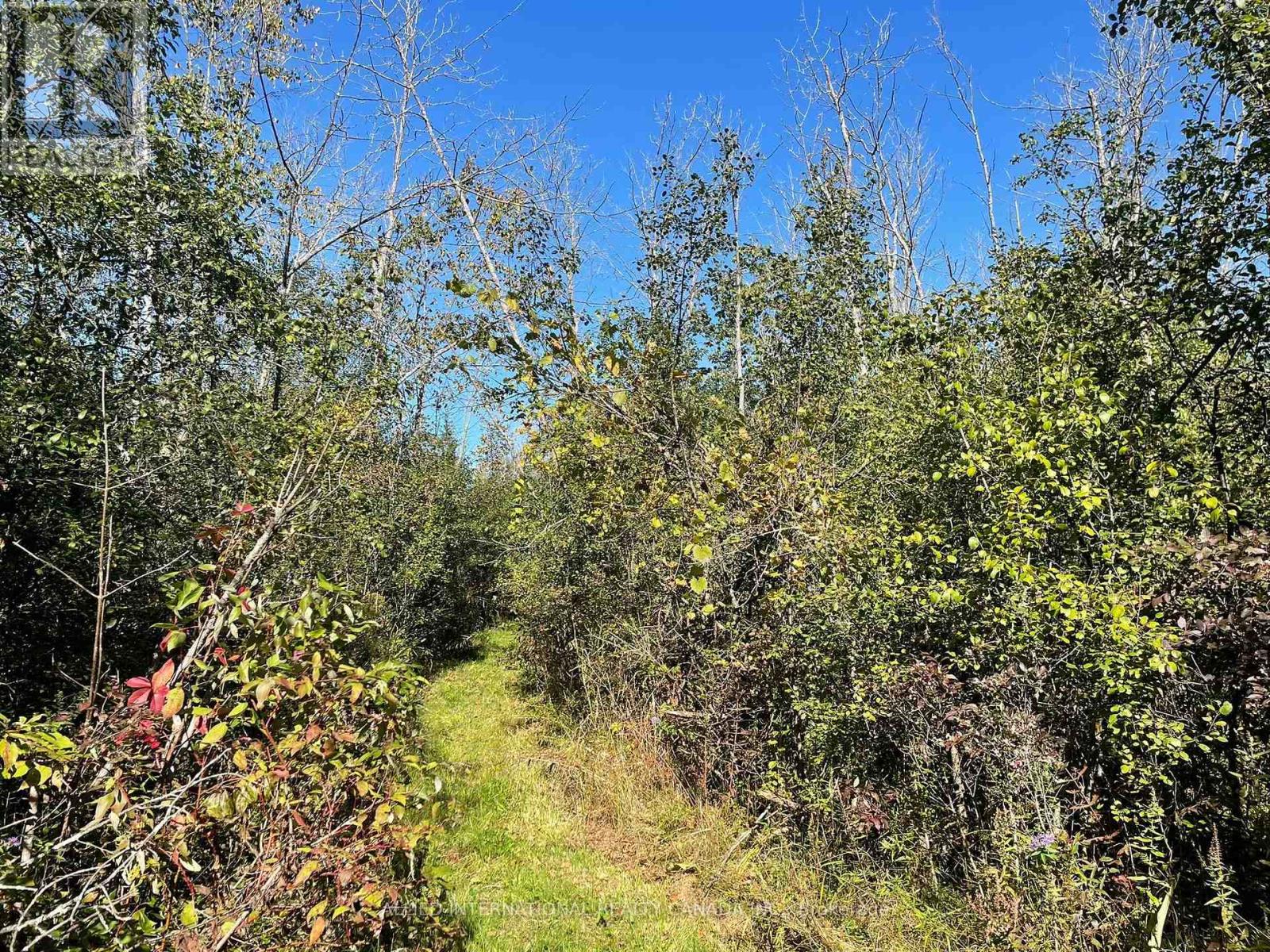 537 BURR ROAD - 37