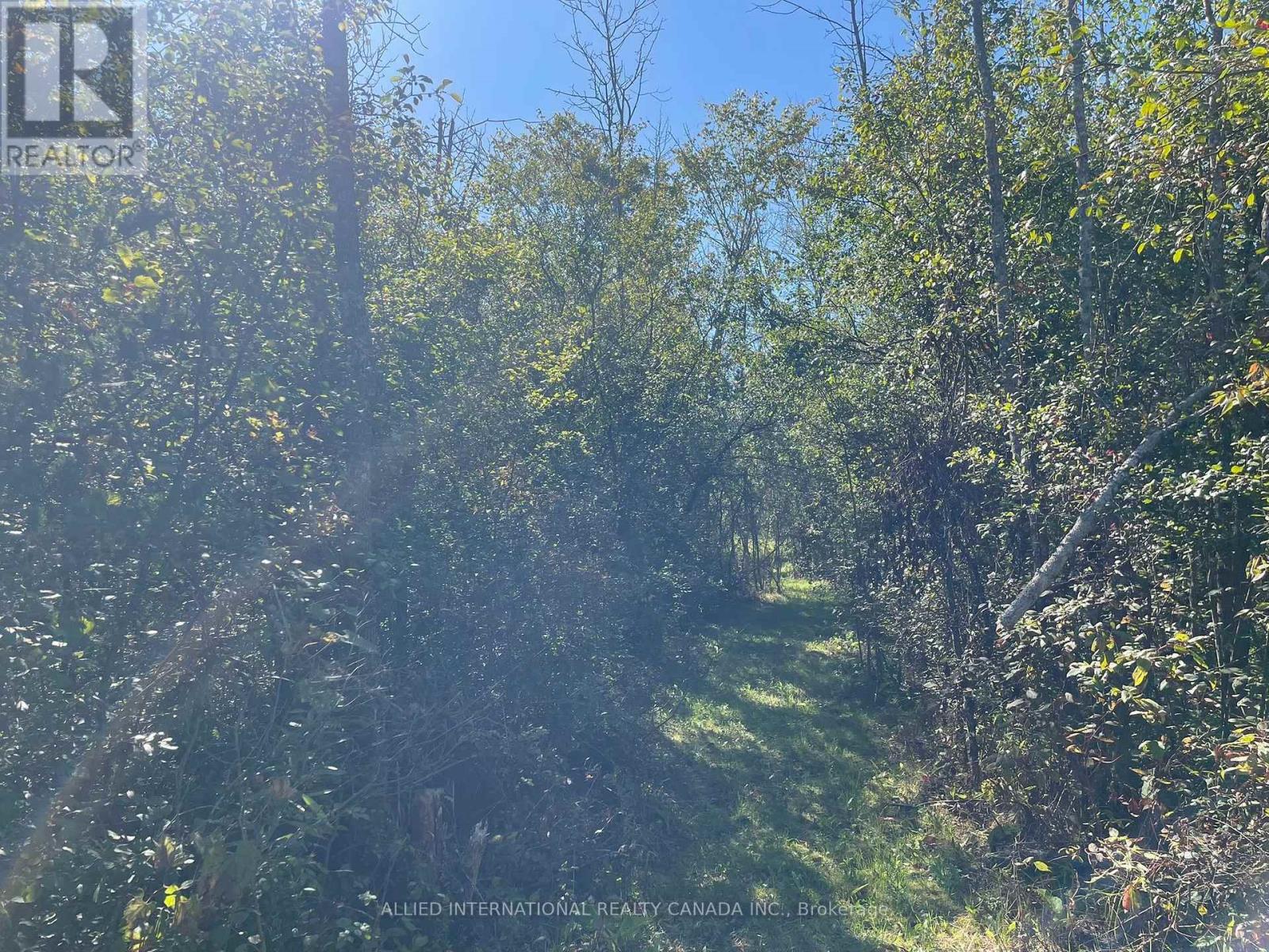 537 BURR ROAD - 38