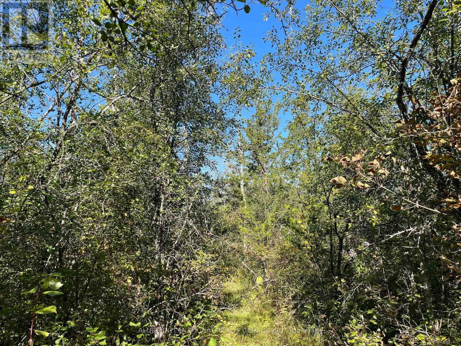 537 Burr Road, Prince Edward County, ON photo 39