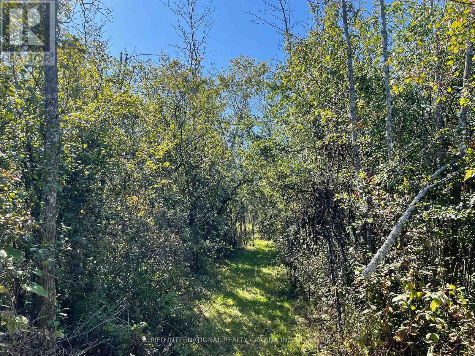 537 Burr Road, Prince Edward County, ON photo 40