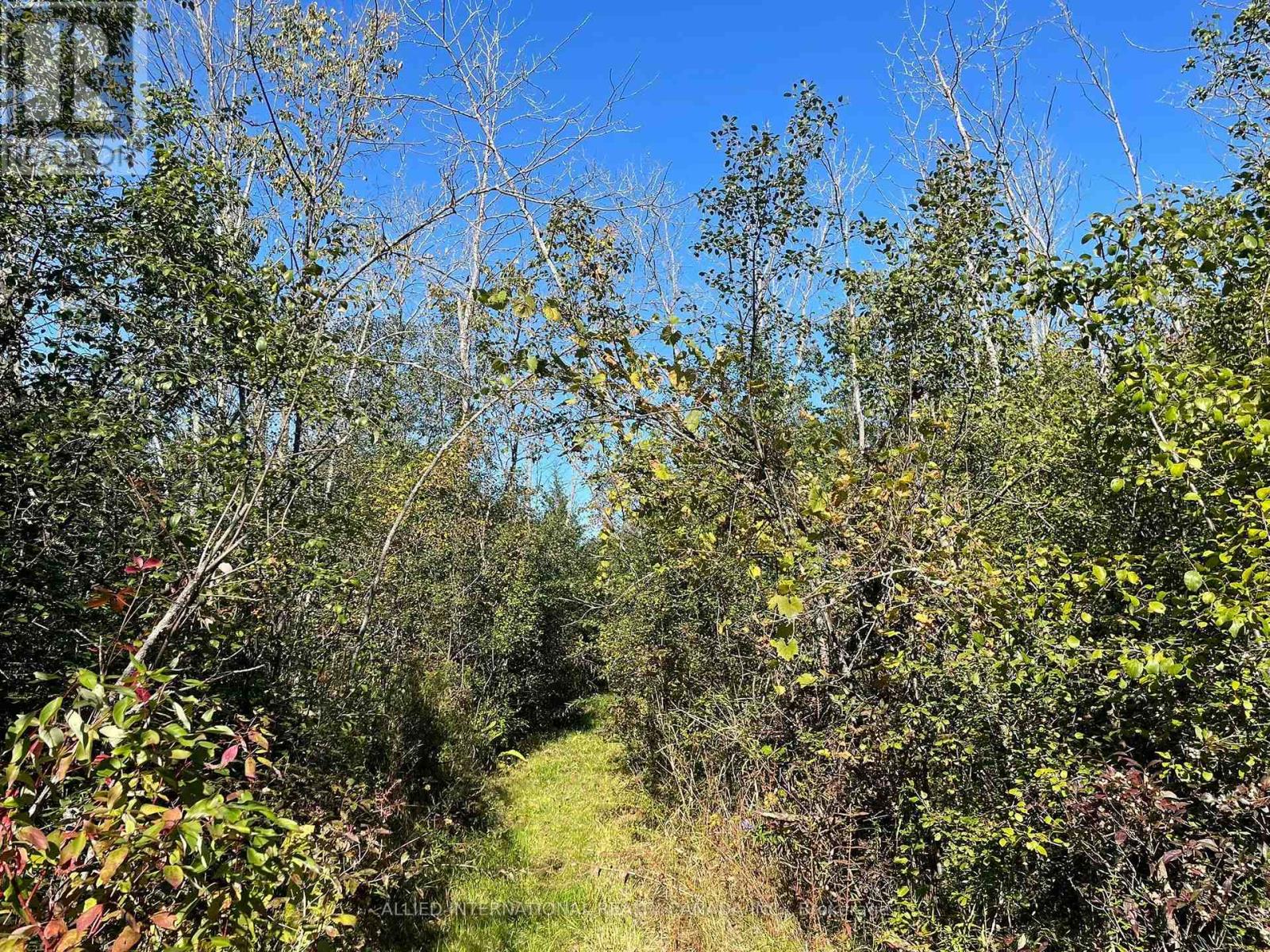 537 Burr Road, Prince Edward County, ON photo 41