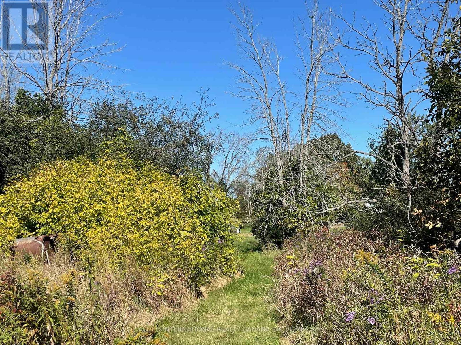 537 Burr Road, Prince Edward County, ON photo 43