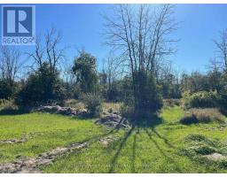 537 Burr Road, Prince Edward County, ON K0K1A0 Photo 35