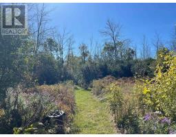 537 Burr Road, Prince Edward County, ON K0K1A0 Photo 36