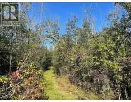 537 Burr Road, Prince Edward County, ON K0K1A0 Photo 37