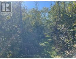 537 Burr Road, Prince Edward County, ON K0K1A0 Photo 38