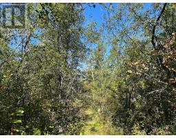537 Burr Road, Prince Edward County, ON K0K1A0 Photo 39