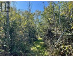 537 Burr Road, Prince Edward County, ON K0K1A0 Photo 40