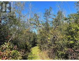 537 Burr Road, Prince Edward County, ON K0K1A0 Photo 41
