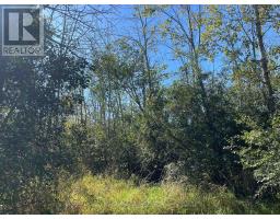 537 Burr Road, Prince Edward County, ON K0K1A0 Photo 42