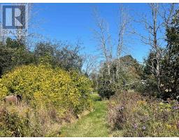 537 Burr Road, Prince Edward County, ON K0K1A0 Photo 43