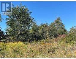 537 Burr Road, Prince Edward County, ON K0K1A0 Photo 44