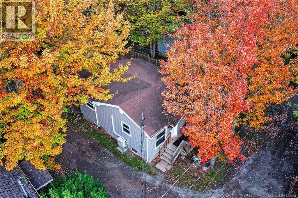 11 Redwood Avenue - 13