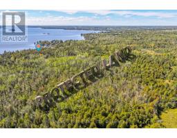 63 Crescent Drive, Kawartha Lakes, ON K0M1A0 Photo 12