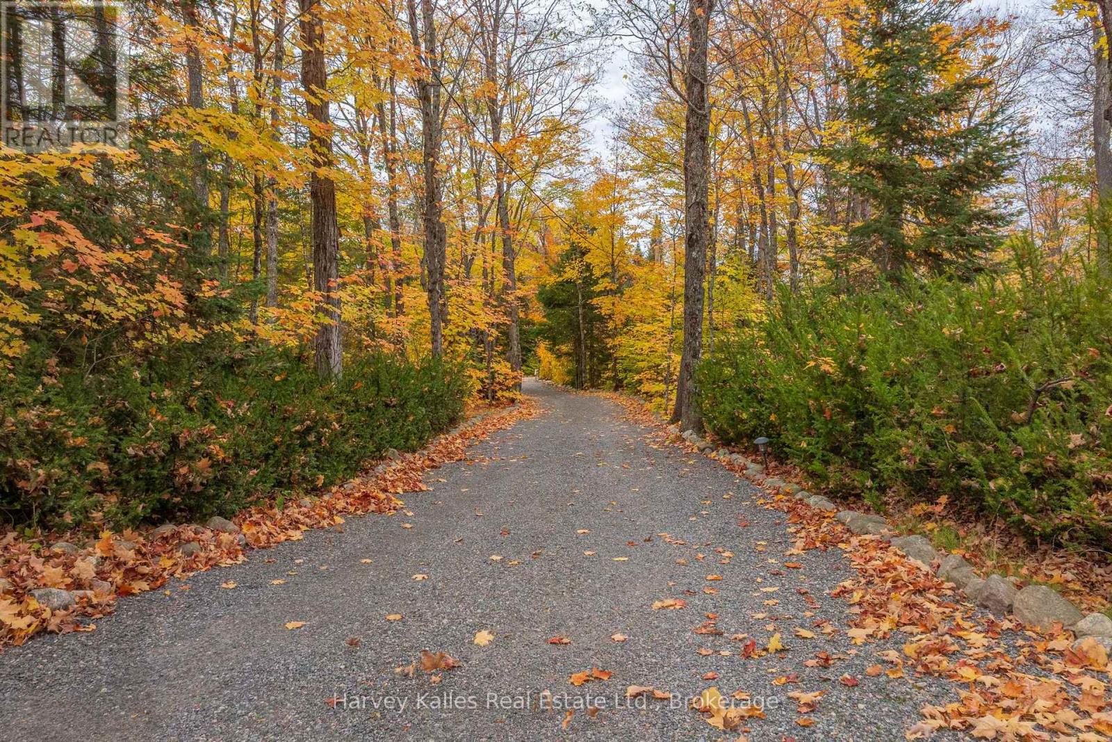 102 LYNX DRIVE - Image 36